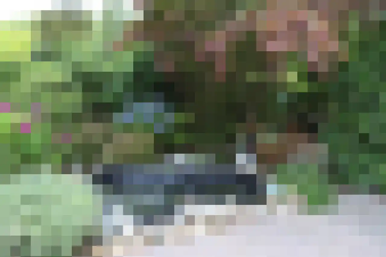 Oud Milligenseweg 38 23 Garderen thumbnail 27