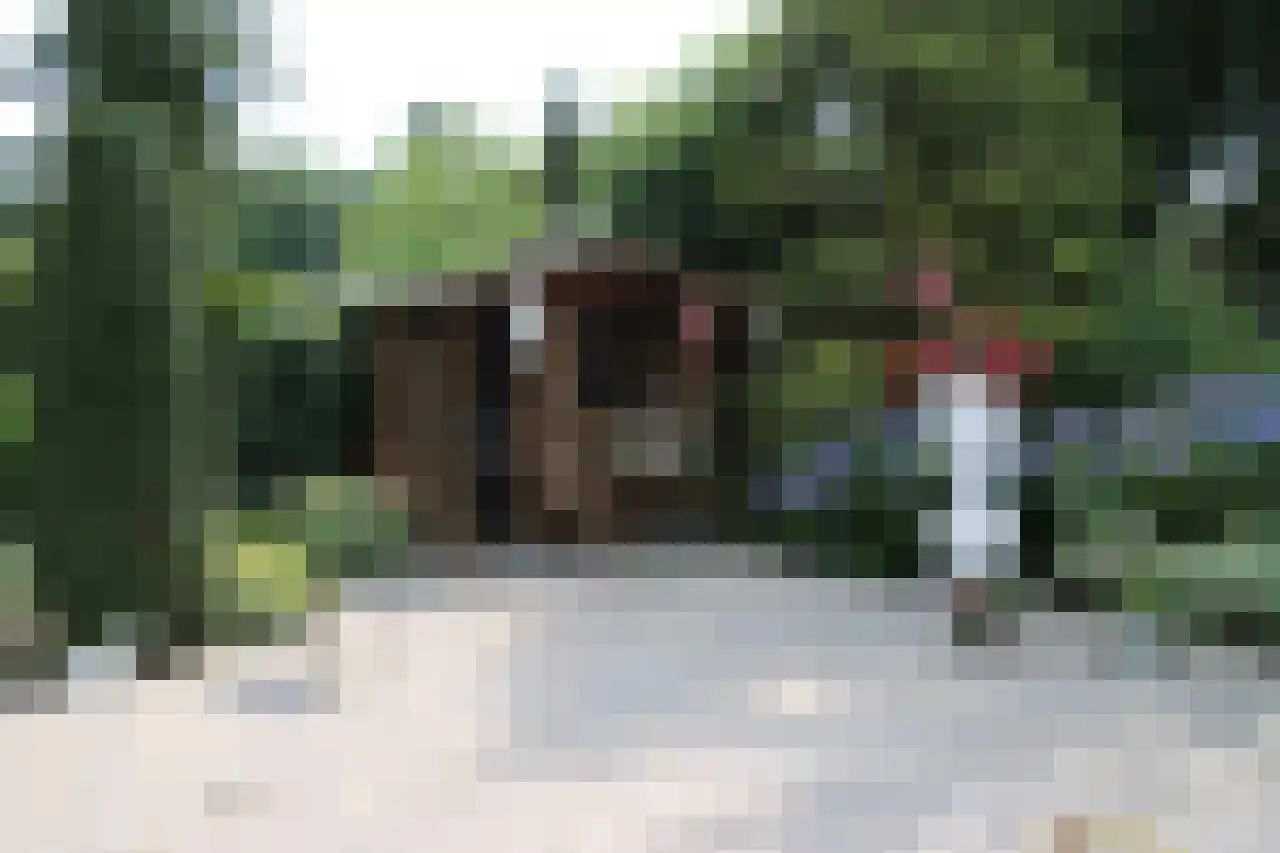 Oud Milligenseweg 38 23 Garderen thumbnail 30