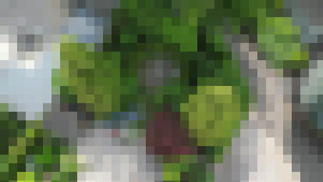 Oud Milligenseweg 38 23 Garderen thumbnail 31