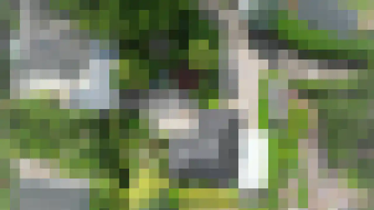 Oud Milligenseweg 38 23 Garderen thumbnail 32
