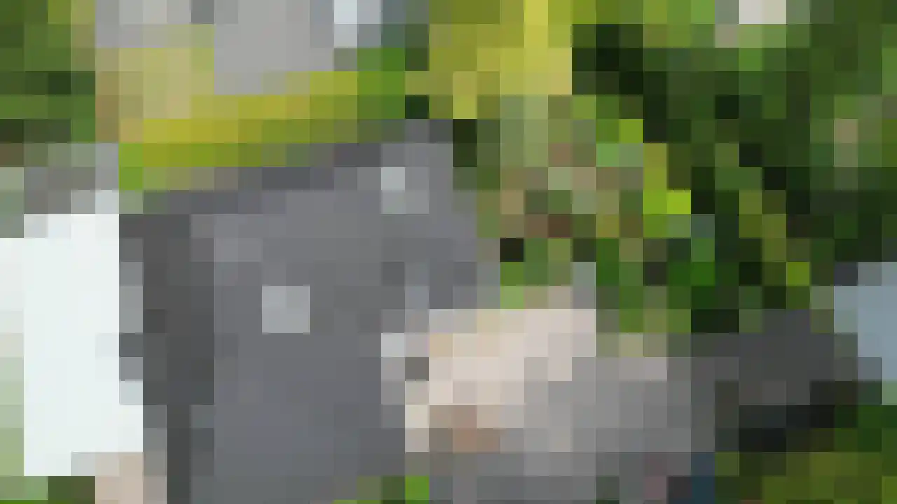 Oud Milligenseweg 38 23 Garderen thumbnail 33