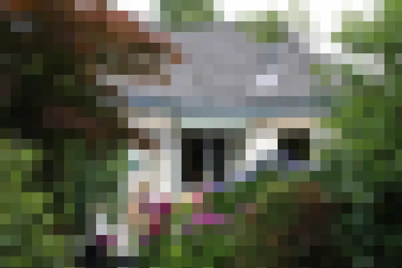 Oud Milligenseweg 38 23 Garderen thumbnail 5