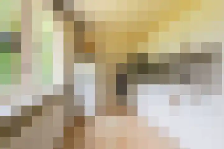 Oud Milligenseweg 38 28 Garderen thumbnail 13