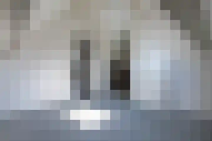 Oud Milligenseweg 38 28 Garderen thumbnail 21