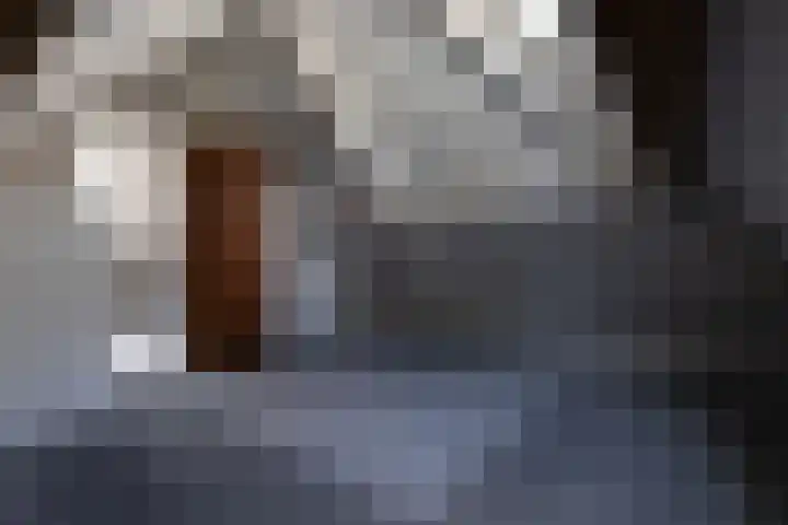 Oud Milligenseweg 38 28 Garderen thumbnail 22
