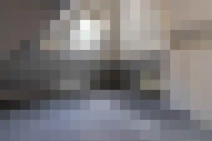 Oud Milligenseweg 38 28 Garderen thumbnail 23