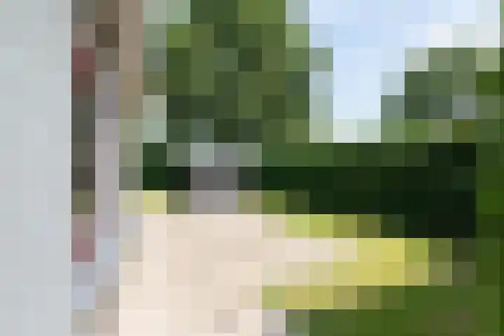 Oud Milligenseweg 38 28 Garderen thumbnail 26