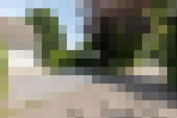 Oud Milligenseweg 38 28 Garderen thumbnail 27