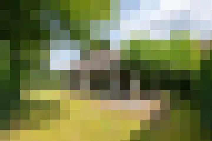 Oud Milligenseweg 38 28 Garderen thumbnail 29
