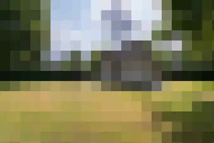 Oud Milligenseweg 38 28 Garderen thumbnail 4