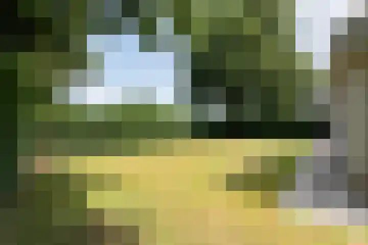 Oud Milligenseweg 38 28 Garderen thumbnail 5