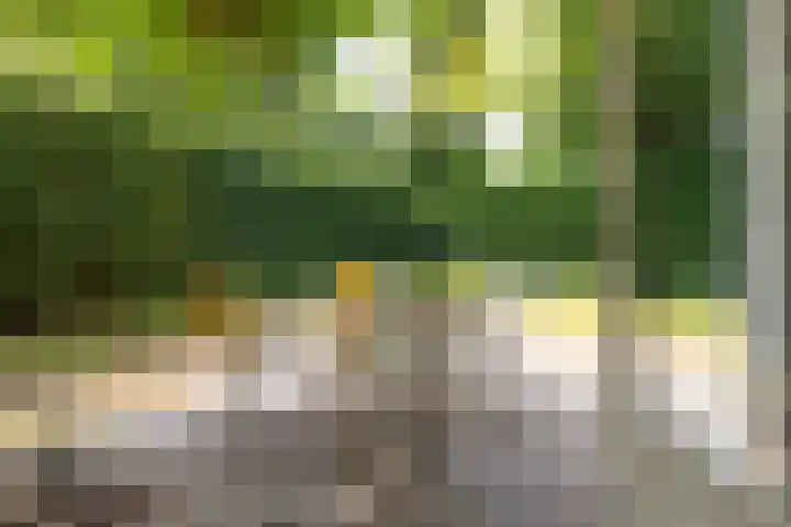 Oud Milligenseweg 38 28 Garderen thumbnail 6