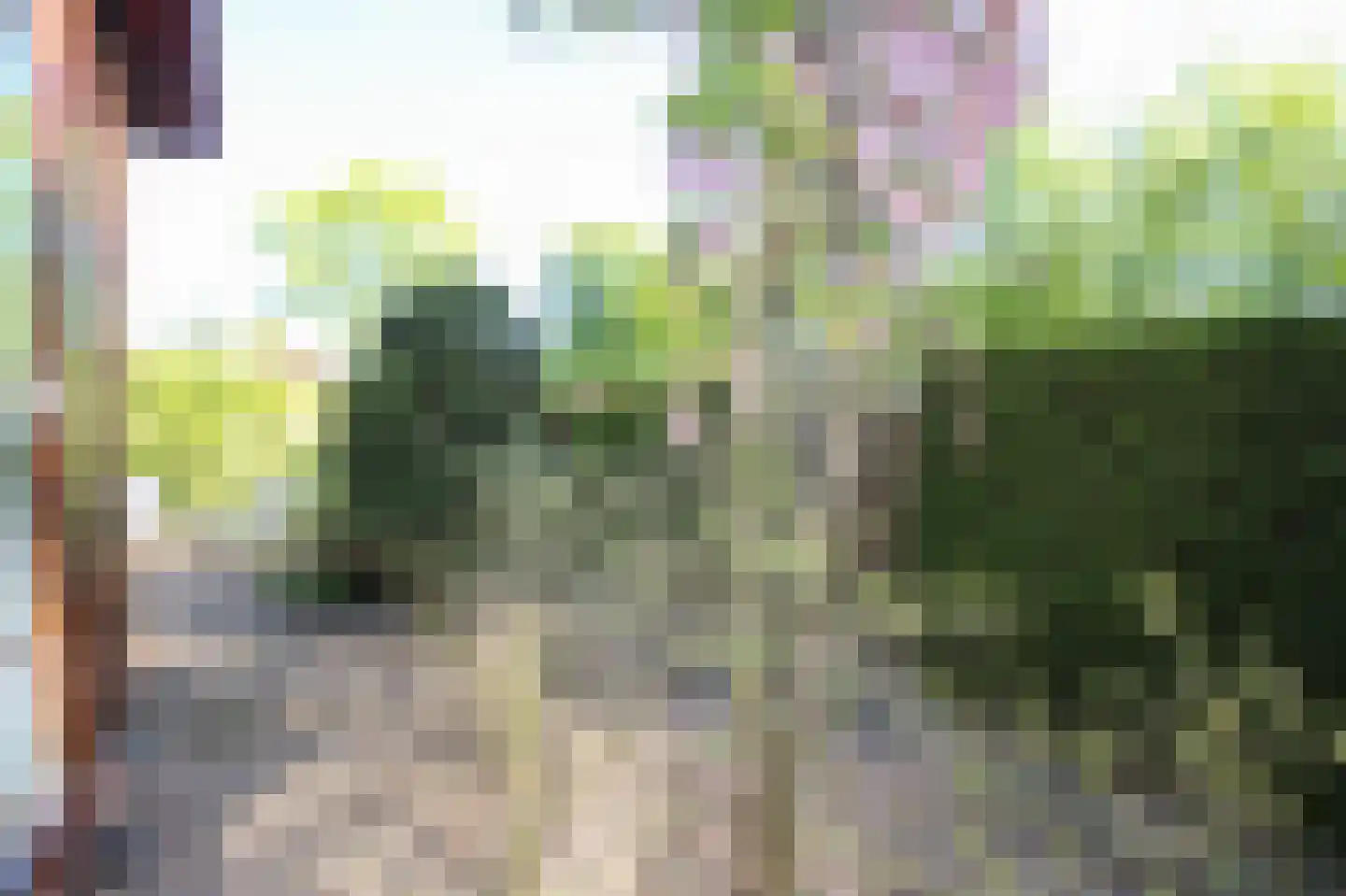 Oud Milligenseweg 47 27 Garderen thumbnail 23