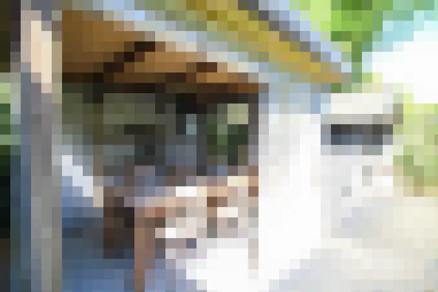 Oud Milligenseweg 47 27 Garderen thumbnail 29