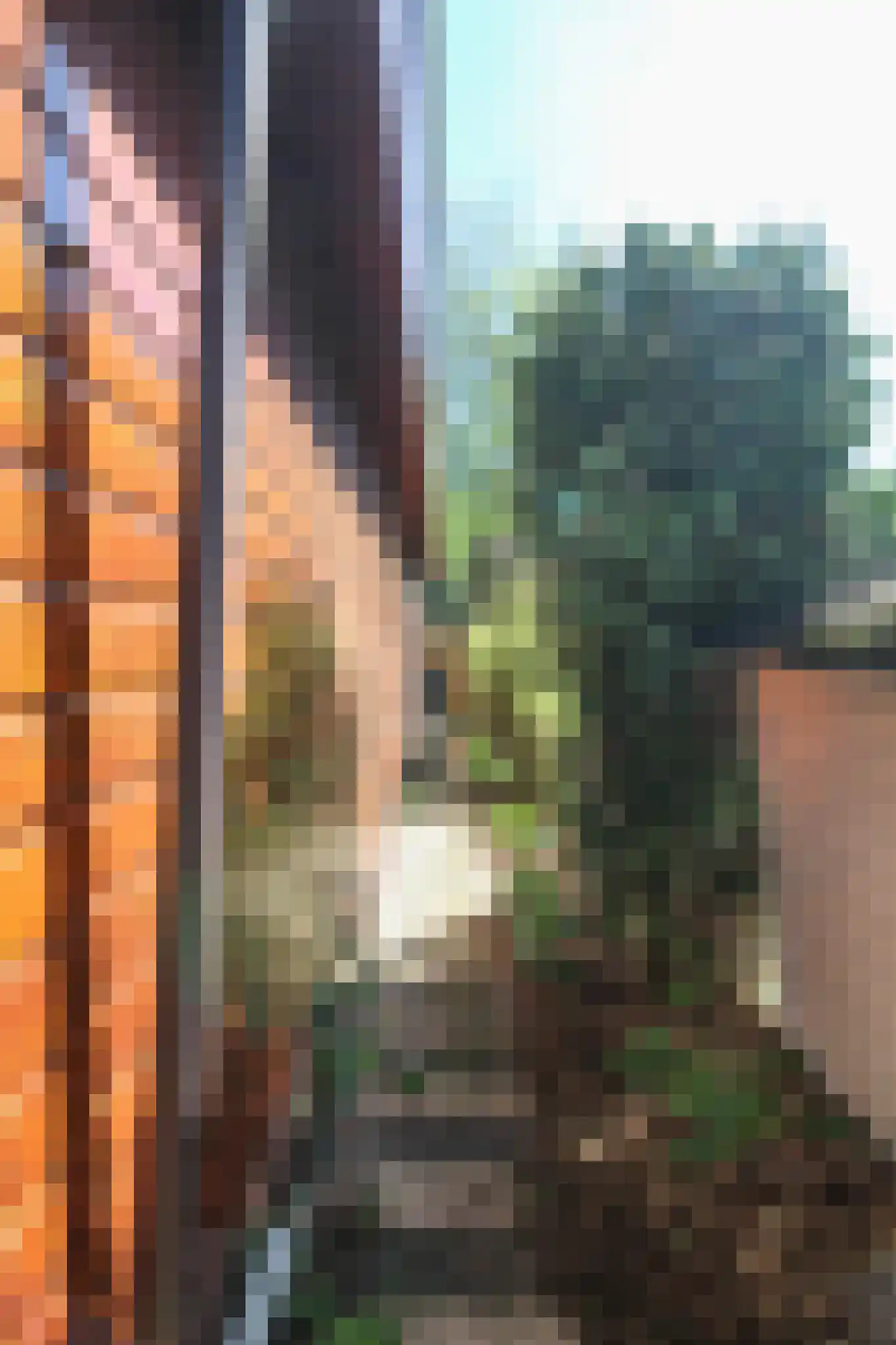 Oud Milligenseweg 47 27 Garderen thumbnail 33