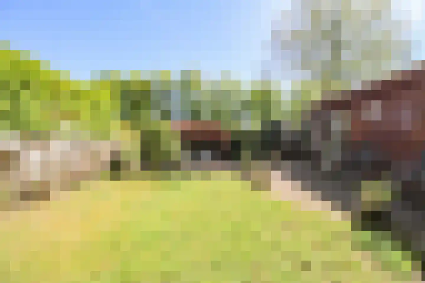 Oud Milligenseweg 47 27 Garderen thumbnail 35
