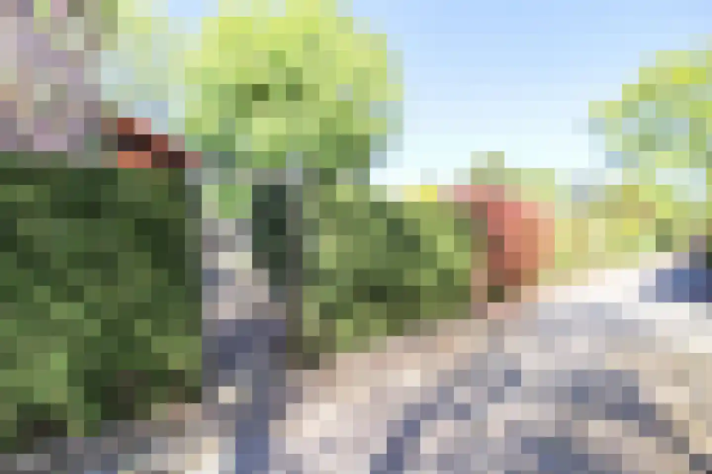 Oud Milligenseweg 47 27 Garderen thumbnail 42