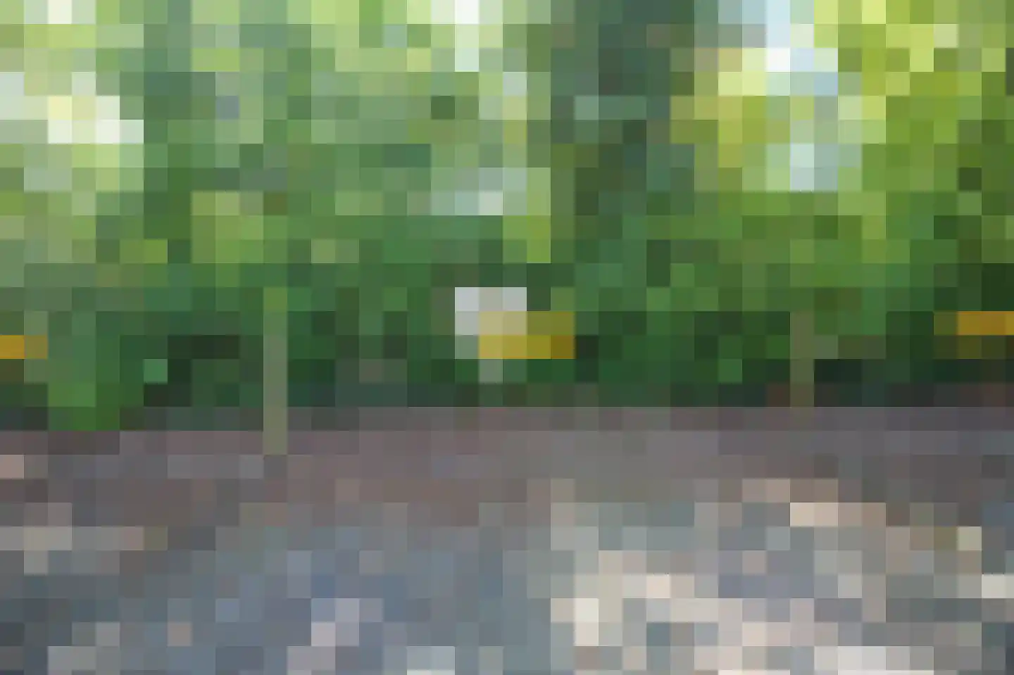 Oud Milligenseweg 47 27 Garderen thumbnail 43