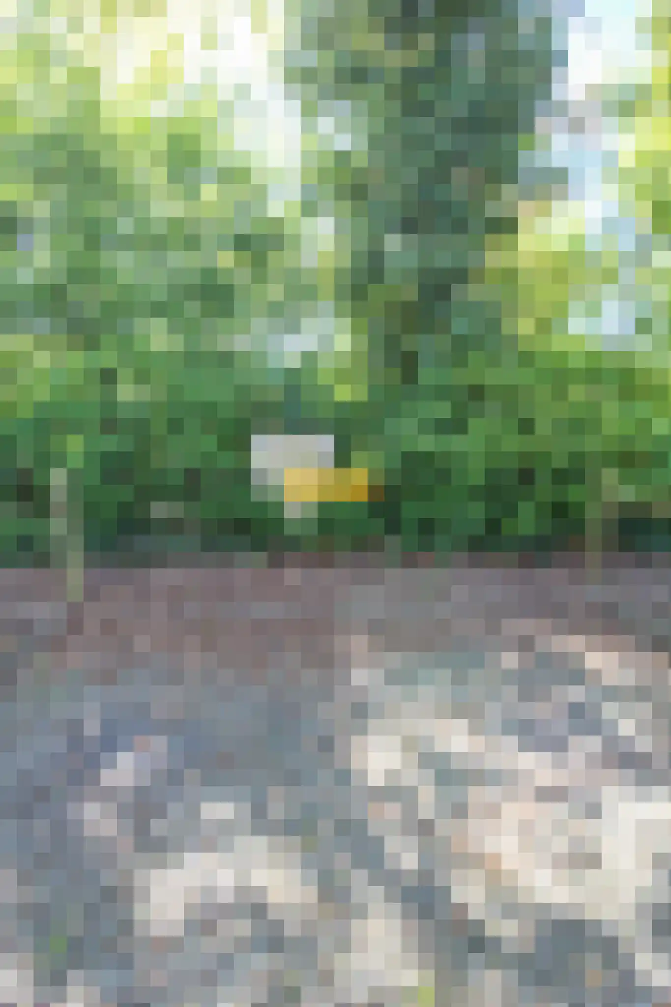 Oud Milligenseweg 47 27 Garderen thumbnail 44