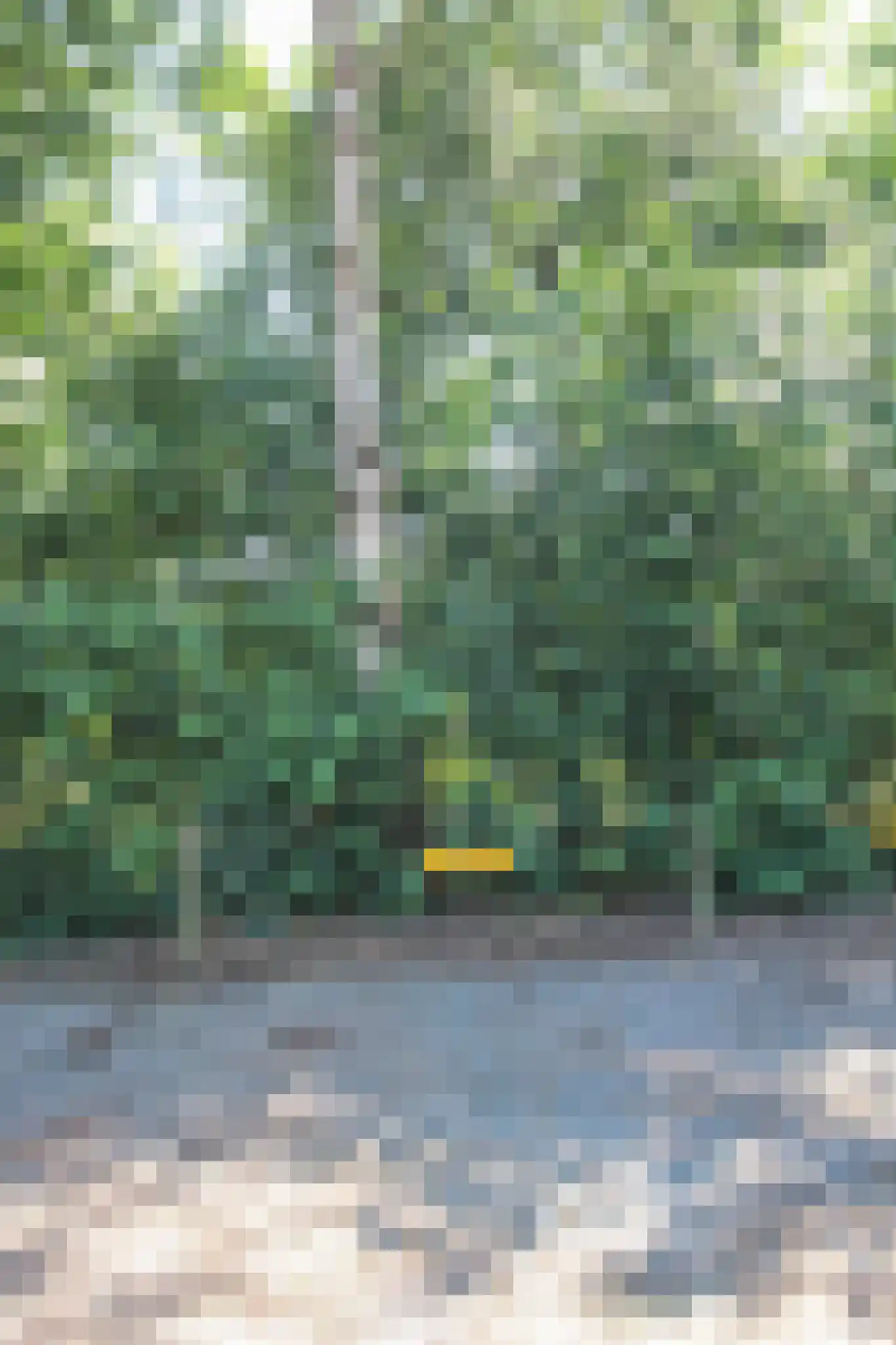 Oud Milligenseweg 47 50 Garderen thumbnail 30