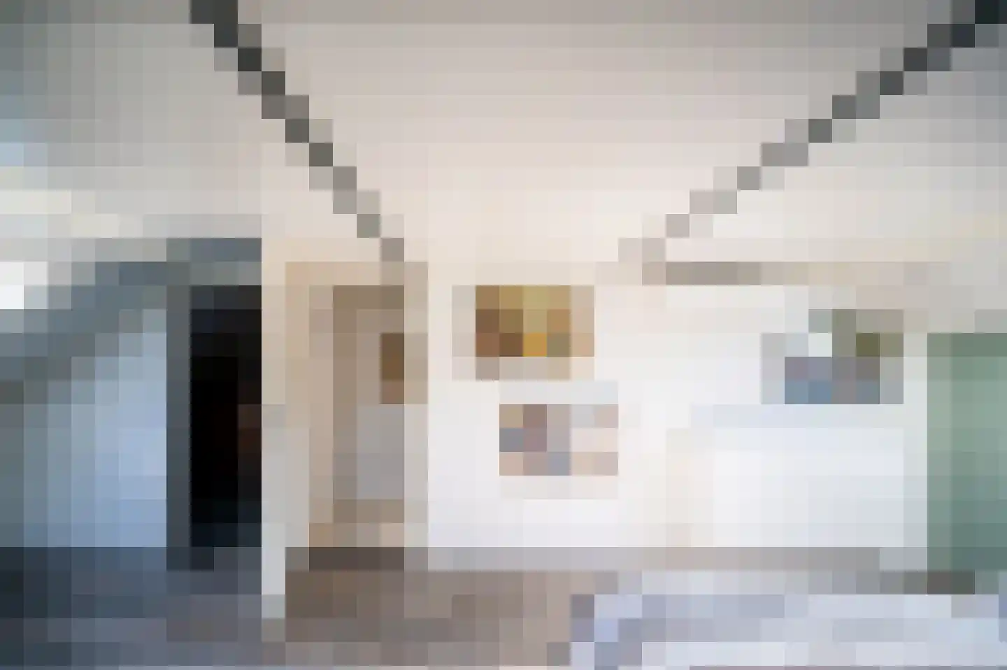 Oud Milligenseweg 47 81 Garderen thumbnail 18
