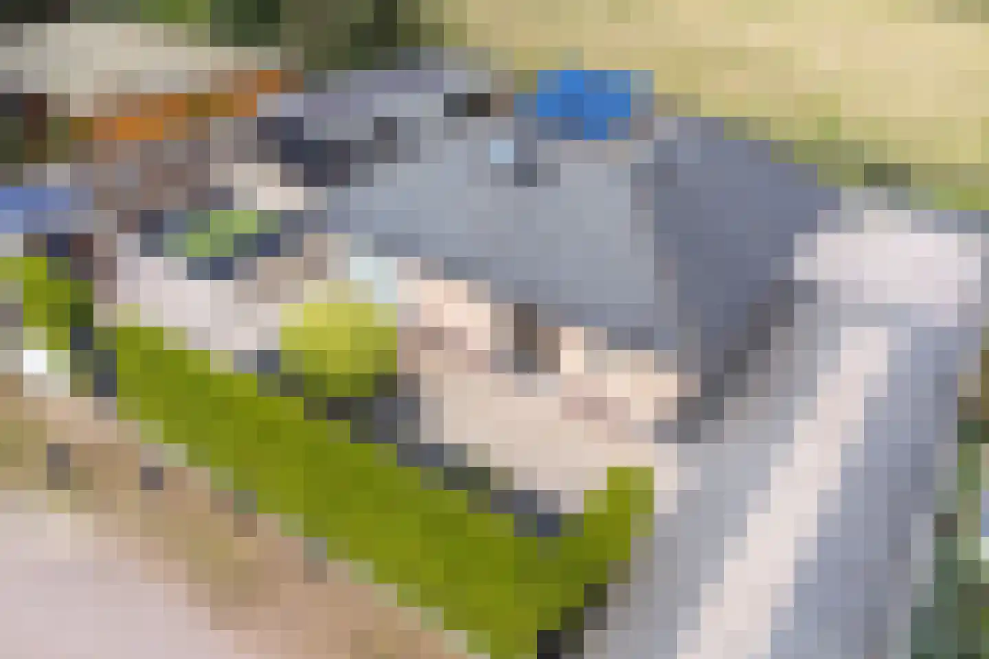 Oud Milligenseweg 47 81 Garderen thumbnail 26