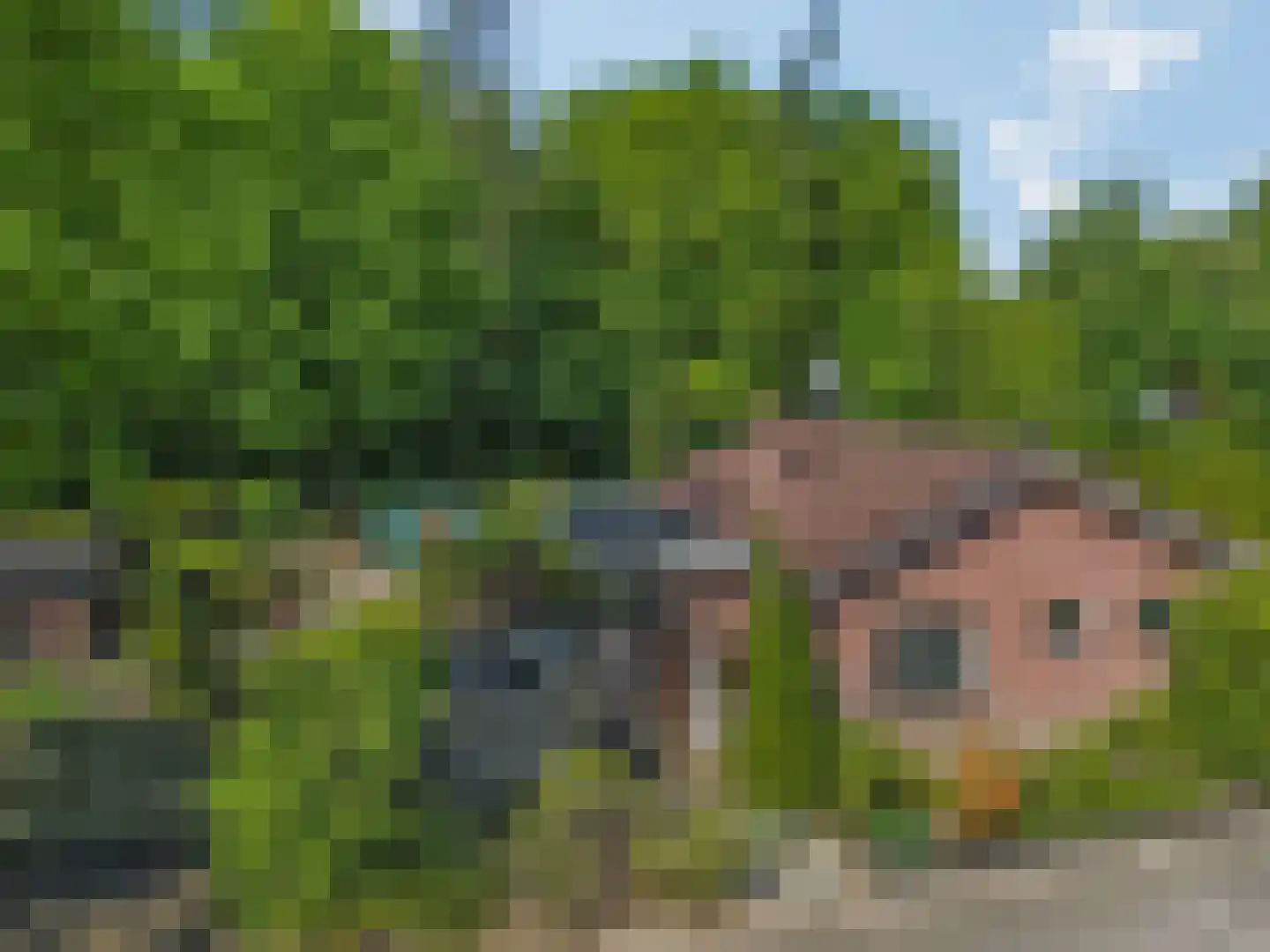Oud Milligenseweg 53 Garderen thumbnail 10