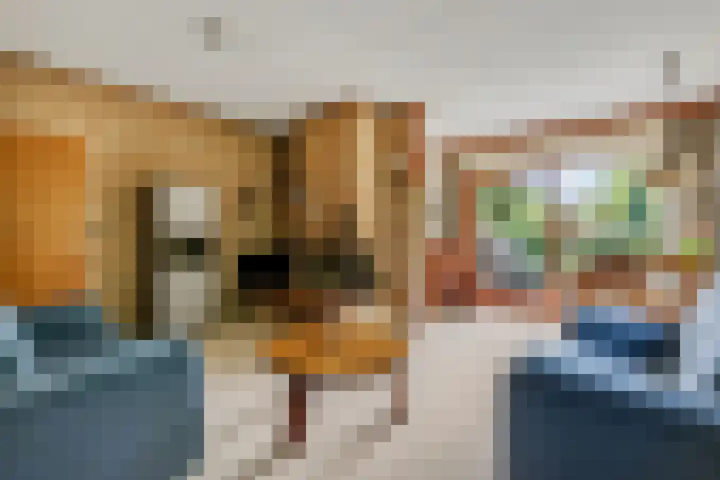Oud Milligenseweg 53 Garderen thumbnail 14