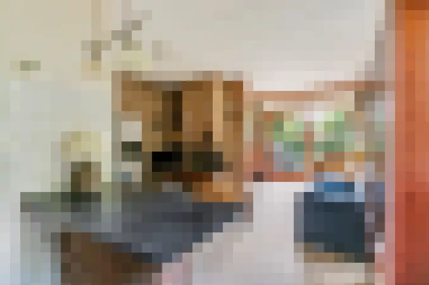 Oud Milligenseweg 53 Garderen thumbnail 15