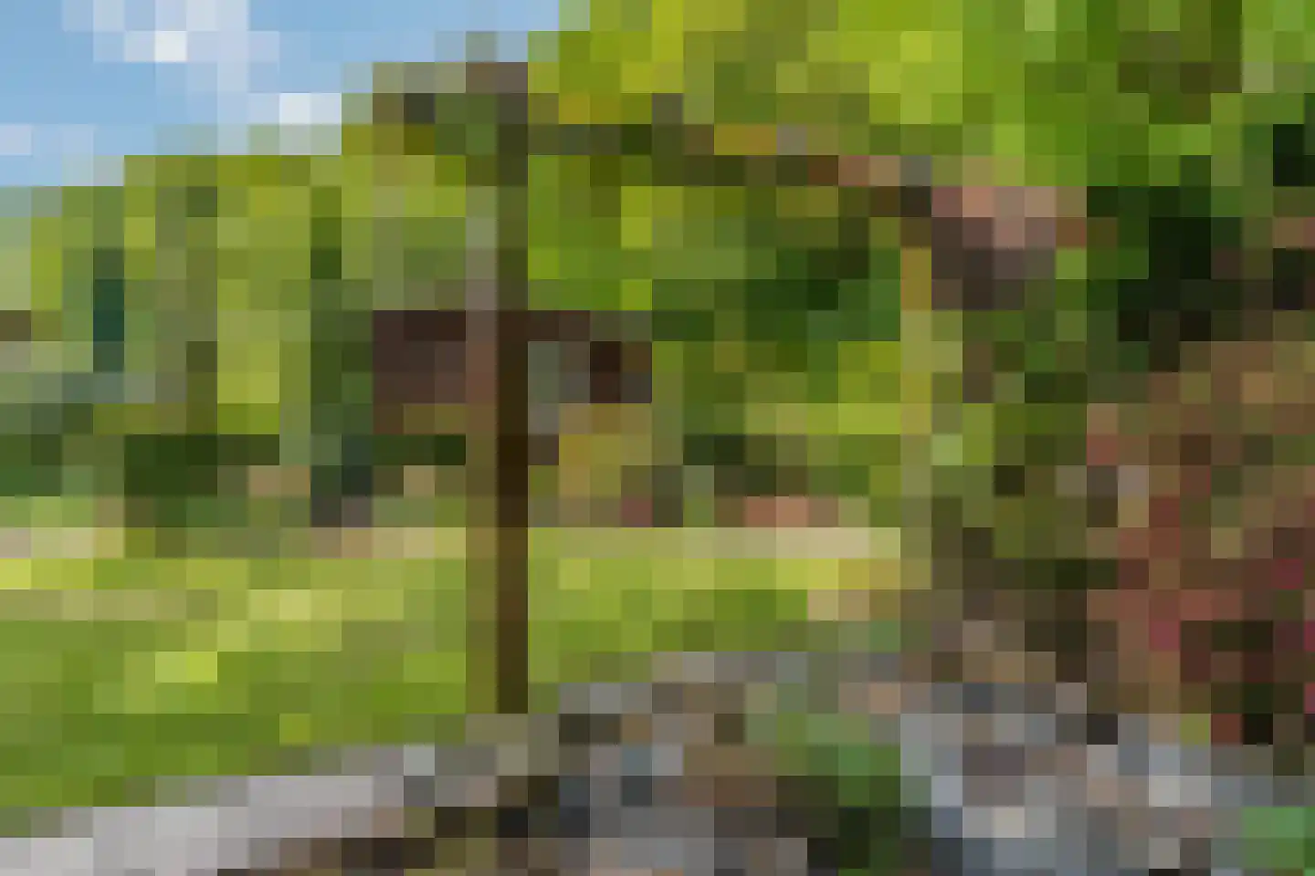 Oud Milligenseweg 53 Garderen thumbnail 29