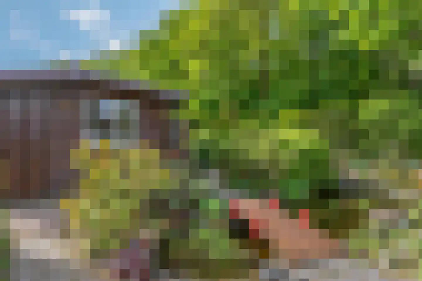 Oud Milligenseweg 53 Garderen thumbnail 30