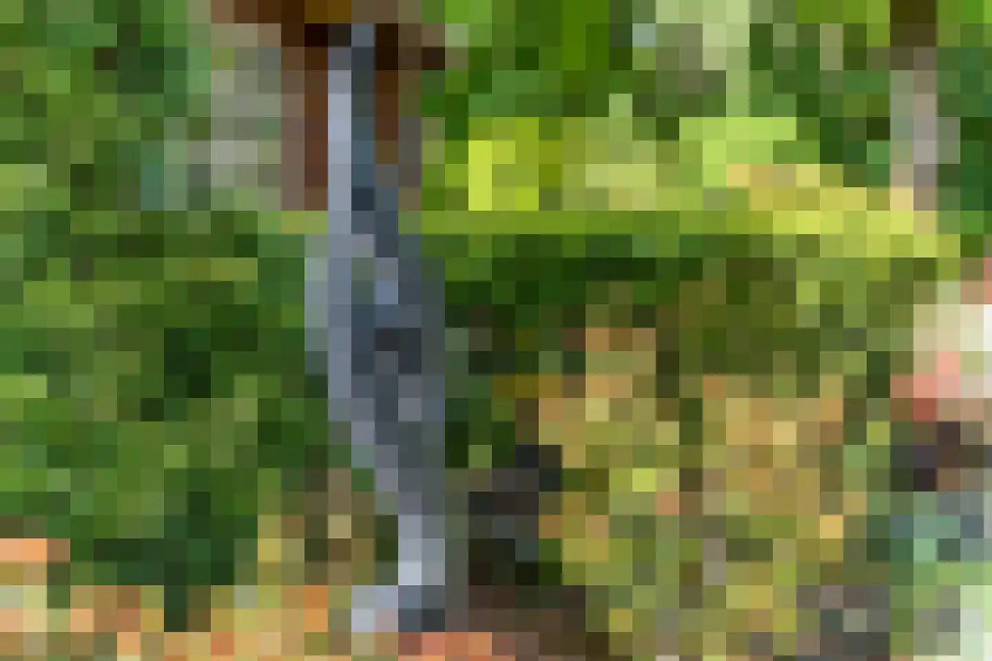 Oud Milligenseweg 53 Garderen thumbnail 37