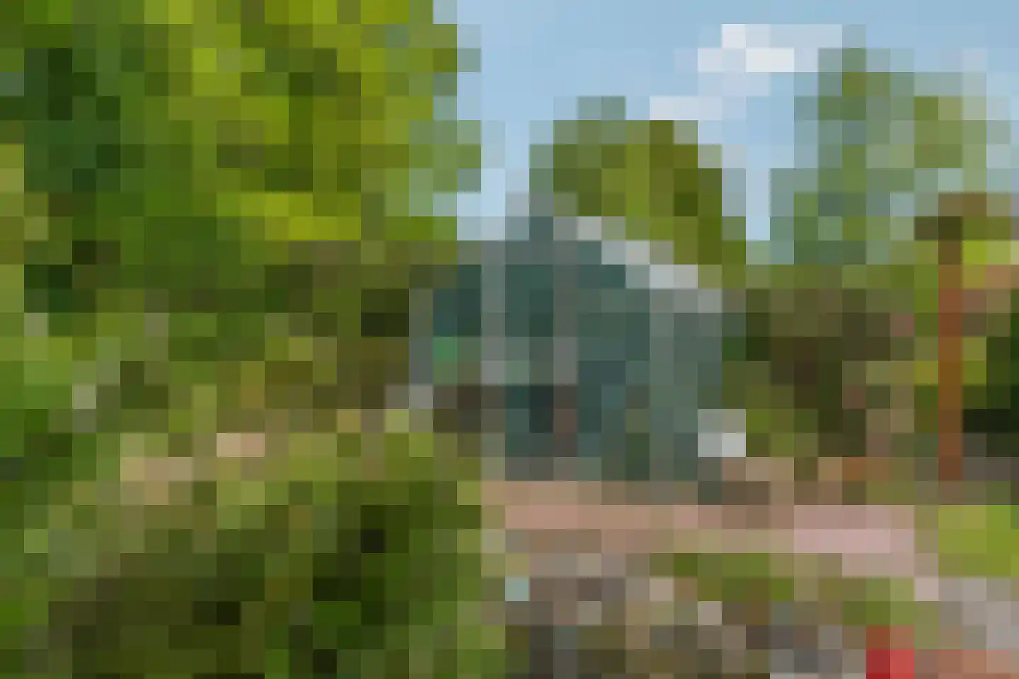 Oud Milligenseweg 53 Garderen thumbnail 38