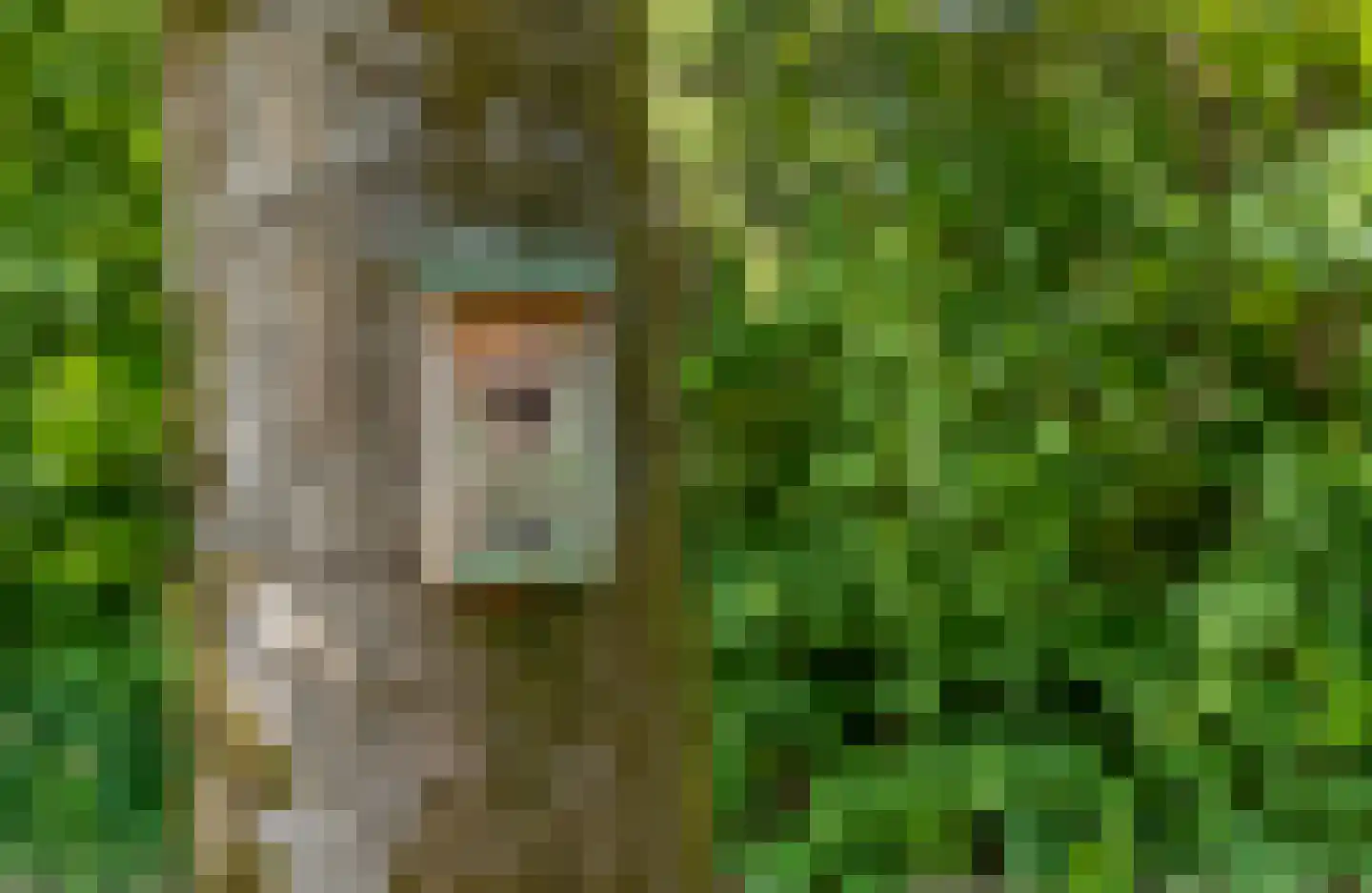 Oud Milligenseweg 53 Garderen thumbnail 39