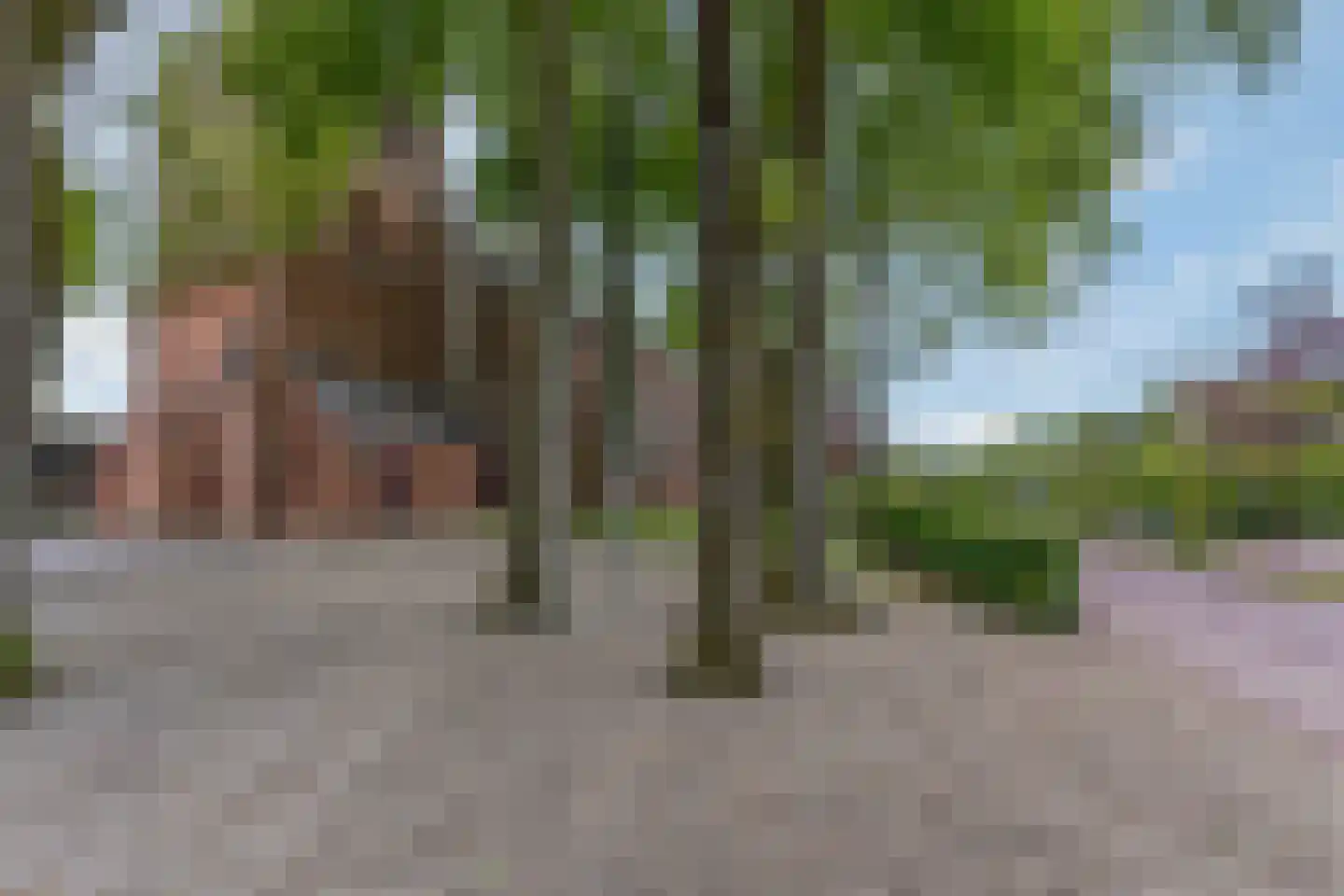 Oud Milligenseweg 53 Garderen thumbnail 40
