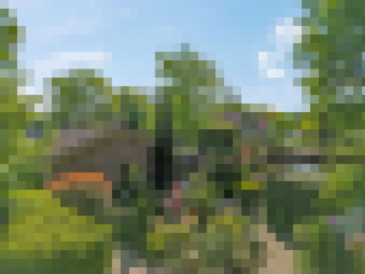 Oud Milligenseweg 53 Garderen thumbnail 7