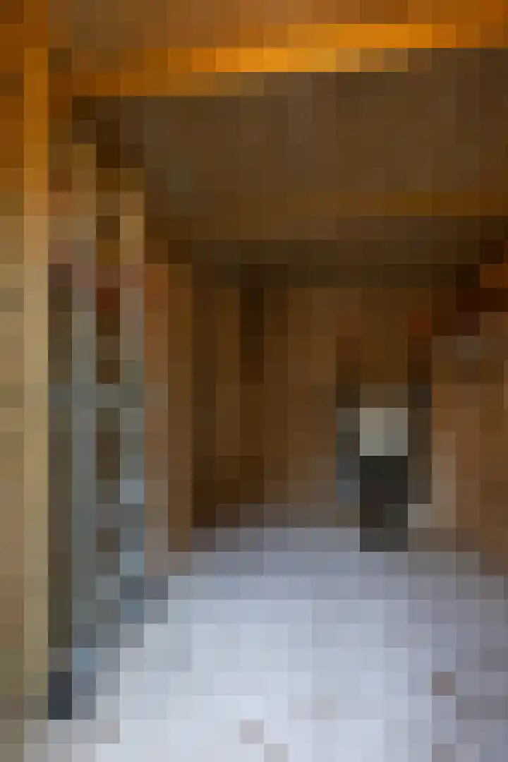 Oud Milligenseweg 62 C18 Garderen thumbnail 10