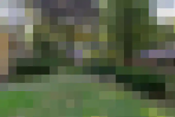 Oud Milligenseweg 62 C18 Garderen thumbnail 11