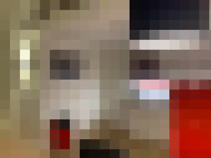 Oud Milligenseweg 62 C18 Garderen thumbnail 20