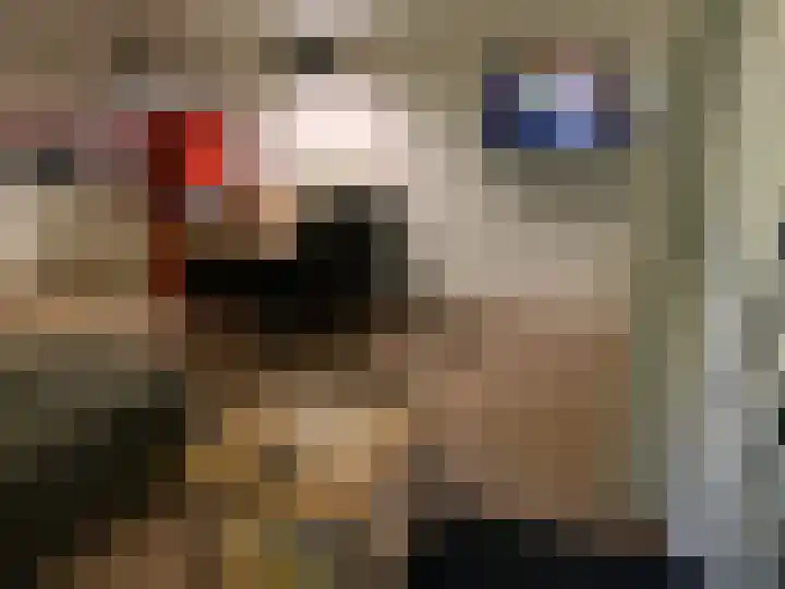 Oud Milligenseweg 62 C18 Garderen thumbnail 21
