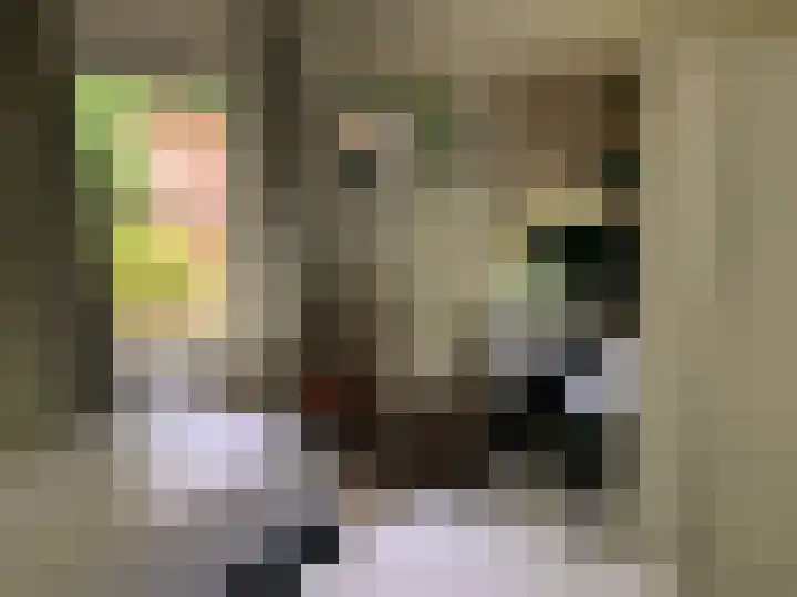Oud Milligenseweg 62 C18 Garderen thumbnail 26