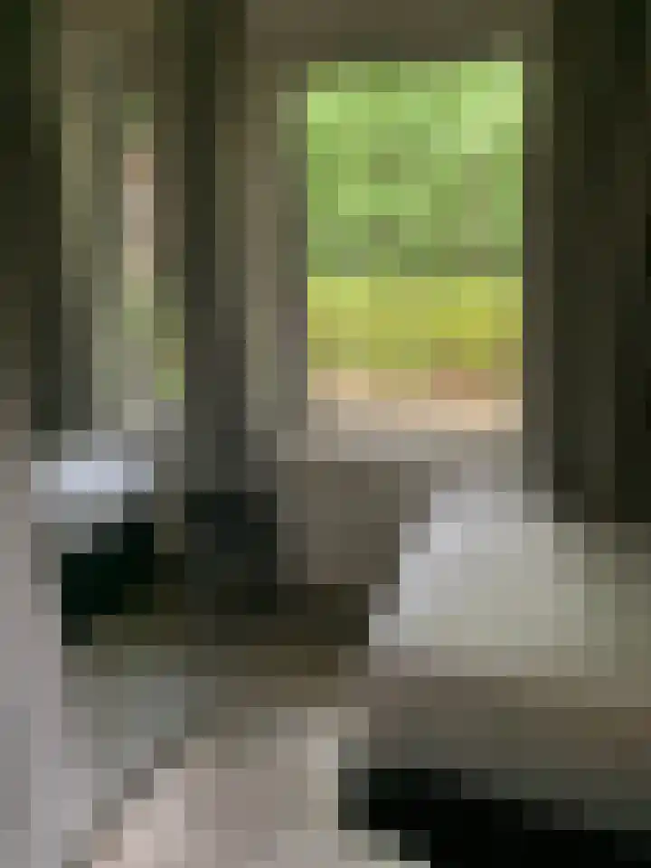Oud Milligenseweg 62 C18 Garderen thumbnail 30