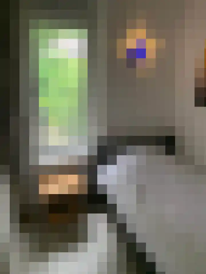 Oud Milligenseweg 62 C18 Garderen thumbnail 31