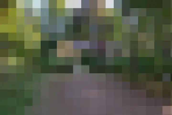 Oud Milligenseweg 62 C18 Garderen thumbnail 32