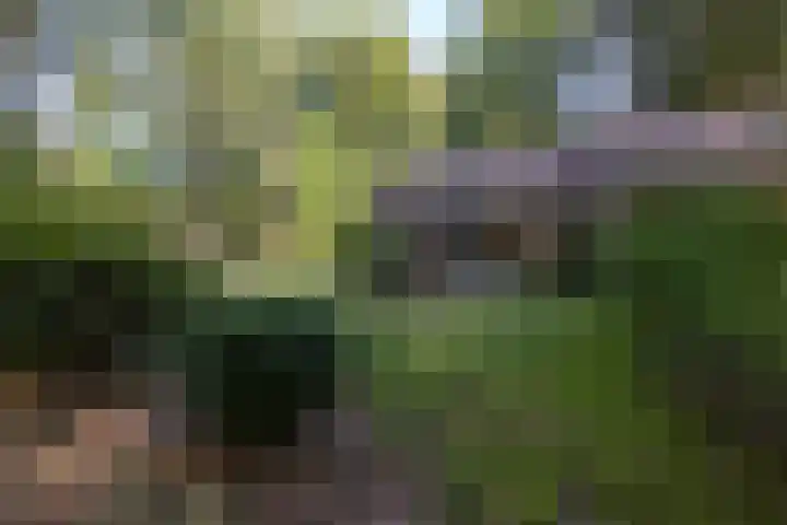 Oud Milligenseweg 62 C18 Garderen thumbnail 33