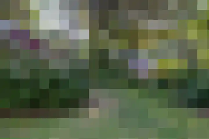 Oud Milligenseweg 62 C18 Garderen thumbnail 34