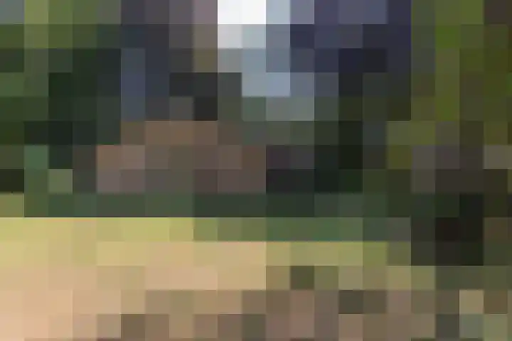 Oud Milligenseweg 62 C18 Garderen thumbnail 35