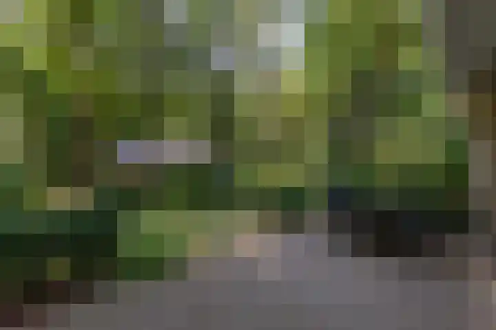 Oud Milligenseweg 62 C18 Garderen thumbnail 36