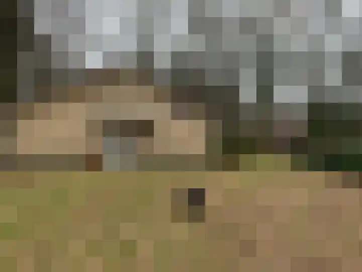 Oud Milligenseweg 62 C18 Garderen thumbnail 37