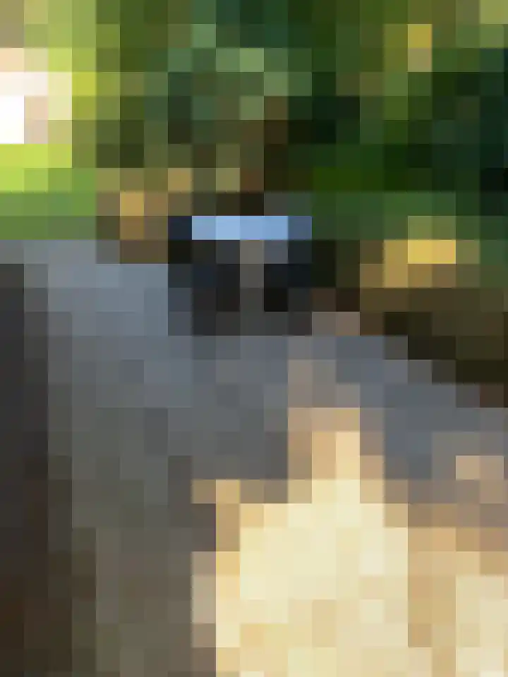 Oud Milligenseweg 62 C18 Garderen thumbnail 39